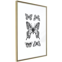 Arkiio Affisch Five Butterflies [Poster] 30x45 Poster